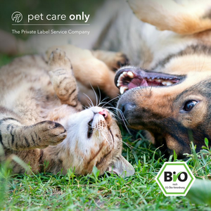 25df6183-ddfc-4dd5-ad7a-92fd4429 25df6183-ddfc-4dd5-ad7a-92fd4429