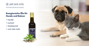 230810_PCO_Posting_Oele_final 230810_PCO_Posting_Oele_final