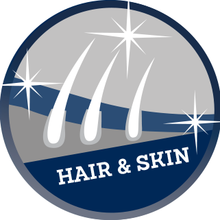 Hair-und-Skin