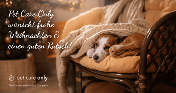 Weihnachten22 Weihnachten22