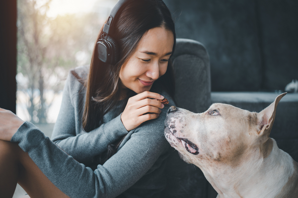 AdobeStock_312845484 (2) AdobeStock_312845484 (2)