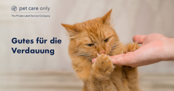 230712_pco_post_probiotische-inhaltsstoffe_1200x627px 230712_pco_post_probiotische-inhaltsstoffe_1200x627px